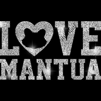 GLT51 SILVER GLITTER Thumbnail