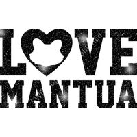 GLT51 BLACK GLITTER Thumbnail